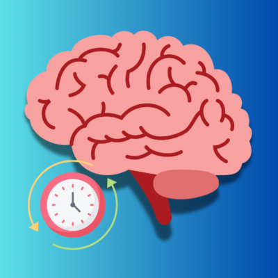 Cerveau IRM Neuro au quotidien